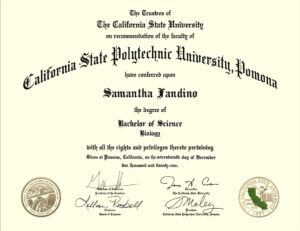 Authentic-Looking Fake certificate from Cal Poly Pomona University