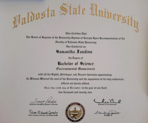 Authentic-Looking Fake certificate from Valdosta State University