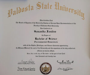 Authentic-Looking Fake certificate from Valdosta State University