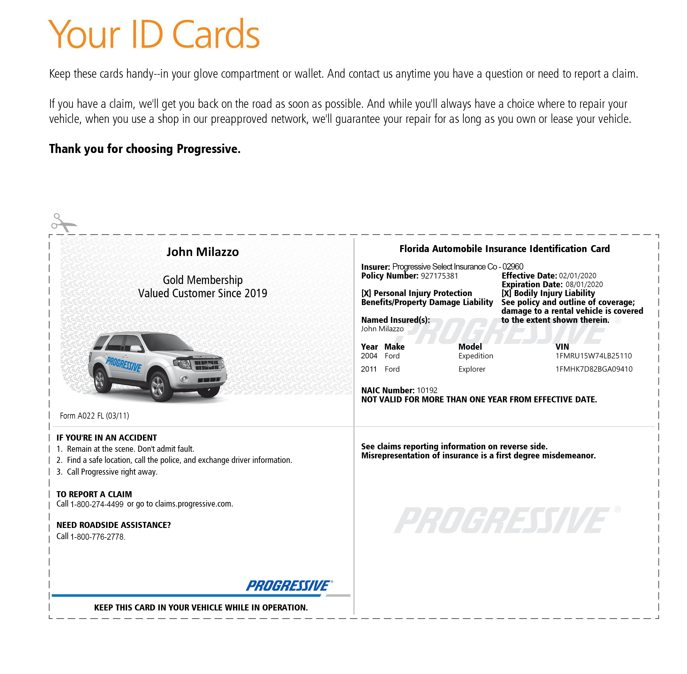 Customizable Fake Proof of Progressive Car Insurance