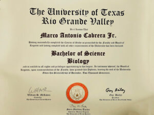 Fake Graduation Certificate from University Of Texas Template