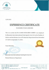 Purchase Realistic Fake mountain gate international Experience Certificate Templates | Easily Editable