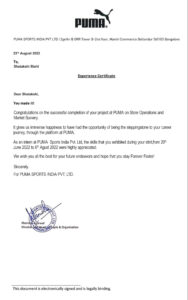 Purchase Realistic Fake puma company Experience Certificate Templates | Easily Editable