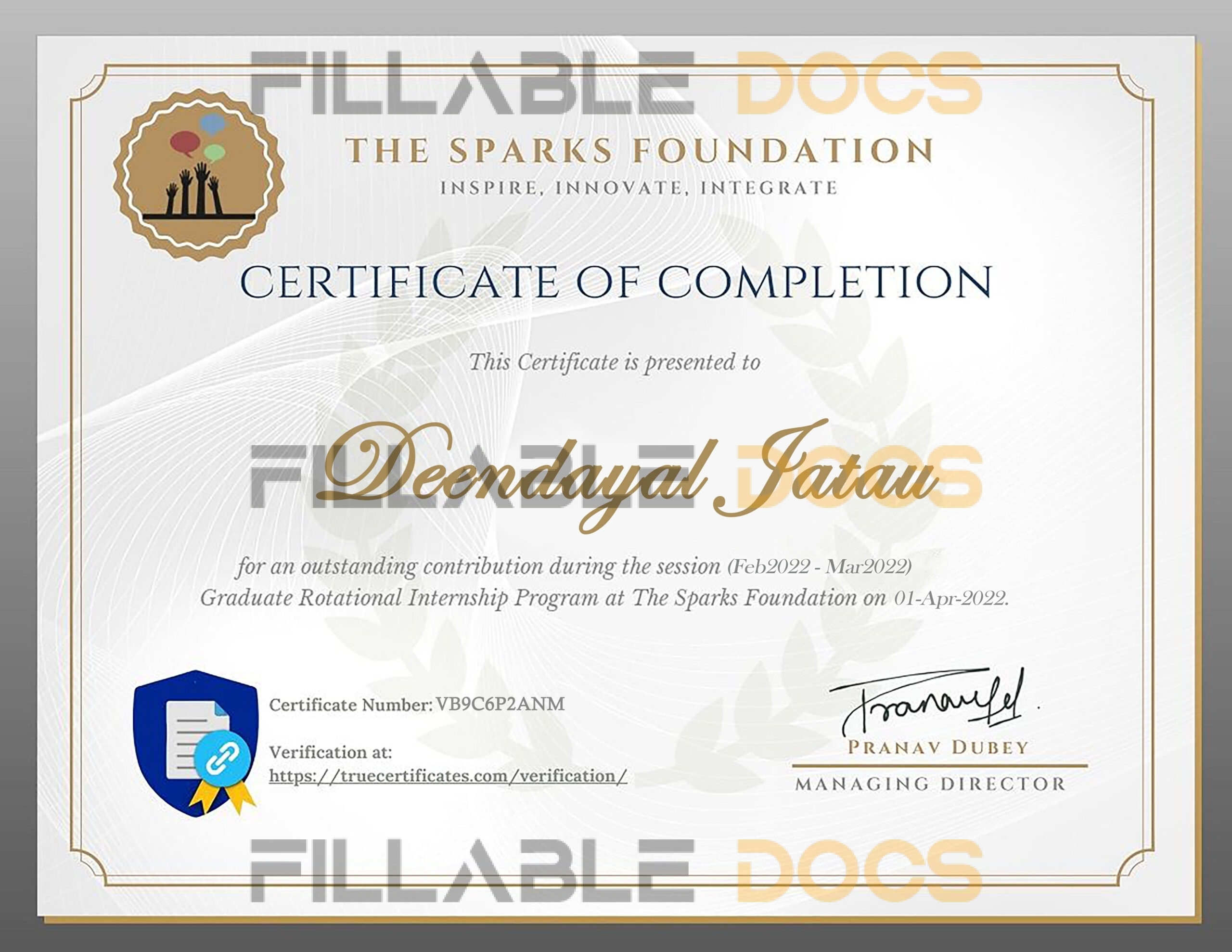 Stand Out with a Customizable THE SPARK foundation Internship Certificate PSD Template
