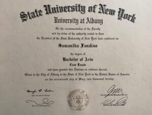 Authentic-Looking Fake certificate from State University of New York