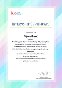 Stand Out with a Customizable TATA consultancy service Internship Certificate PSD Template