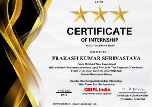 Stand Out with a Customizable chiranjivi business solution Internship Certificate PSD Template