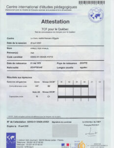 Buy Fake TCF Certificate | Blank TCF PSD Template (version1)