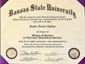 Fake Certificate from Kansas State University Template